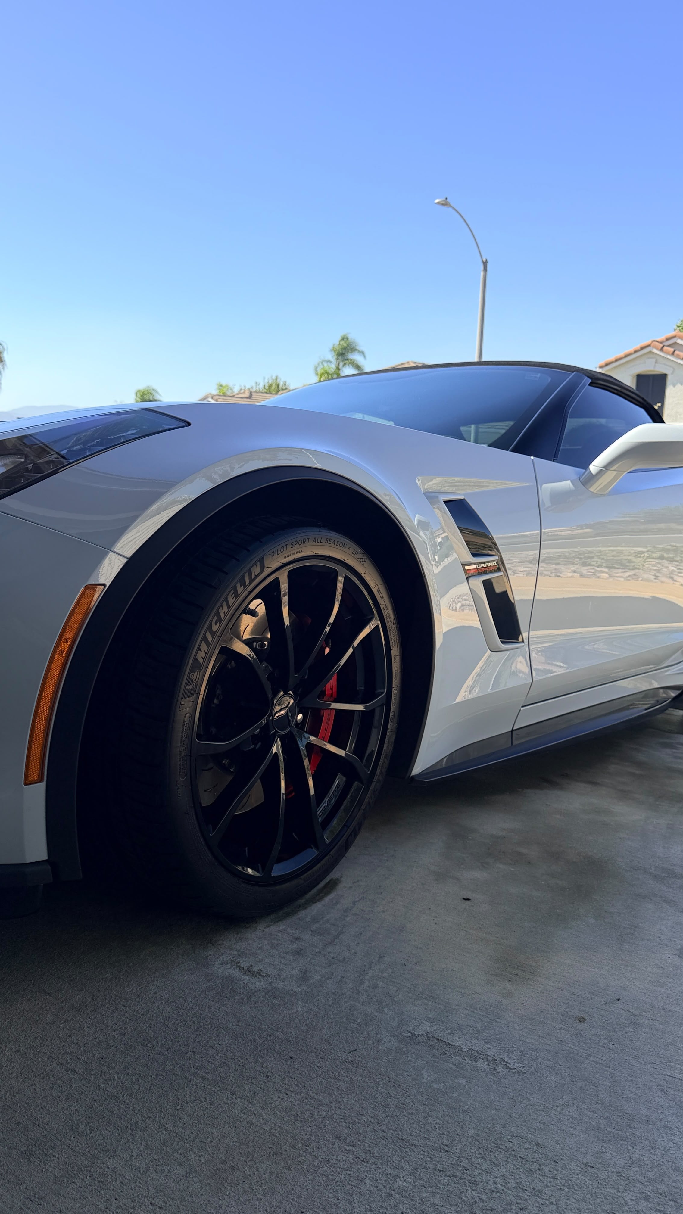 Wheel and tire detailing in Riverside & San Diego County, cleaned black wheel and dressed tire on a sports car